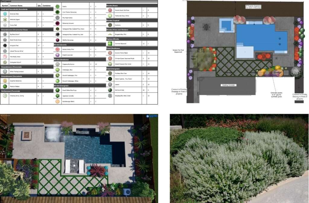 Custom Swimming Pool and Landscape Design