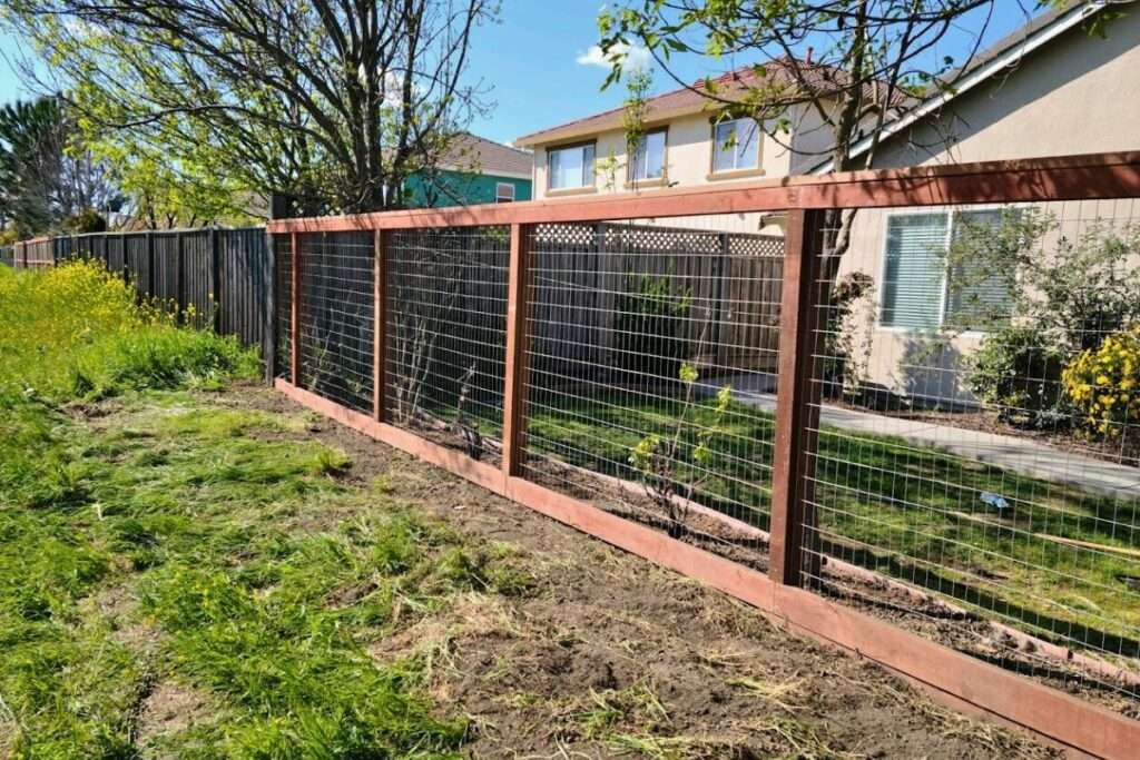 Ranch Wire Fencing - Fence Installation