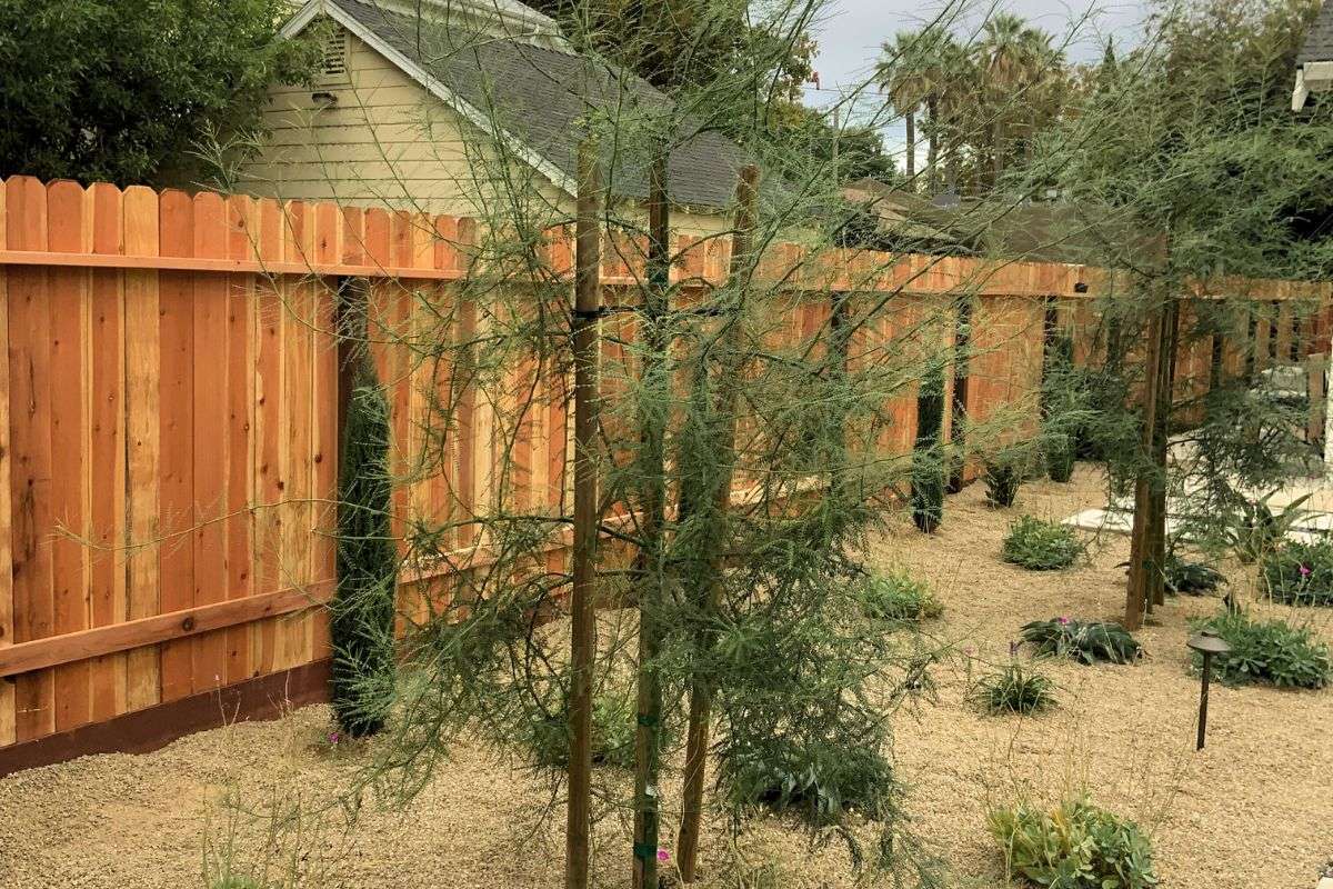 Fence Installation