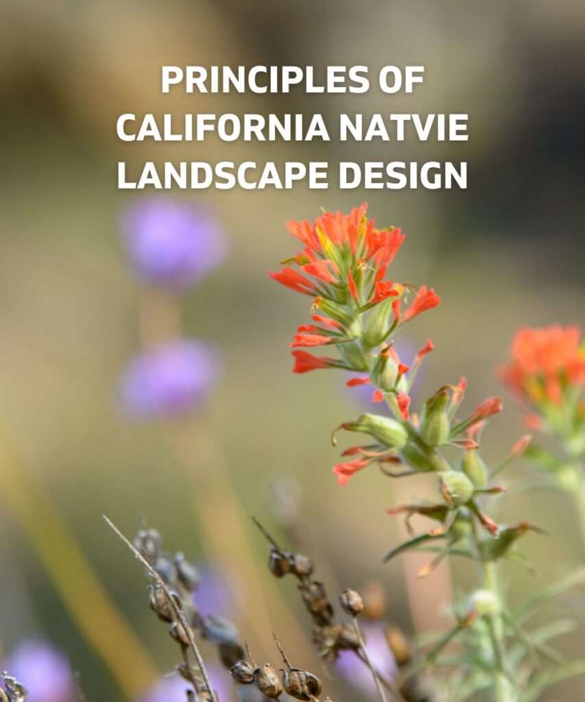 Principles of California Native Landscape Design