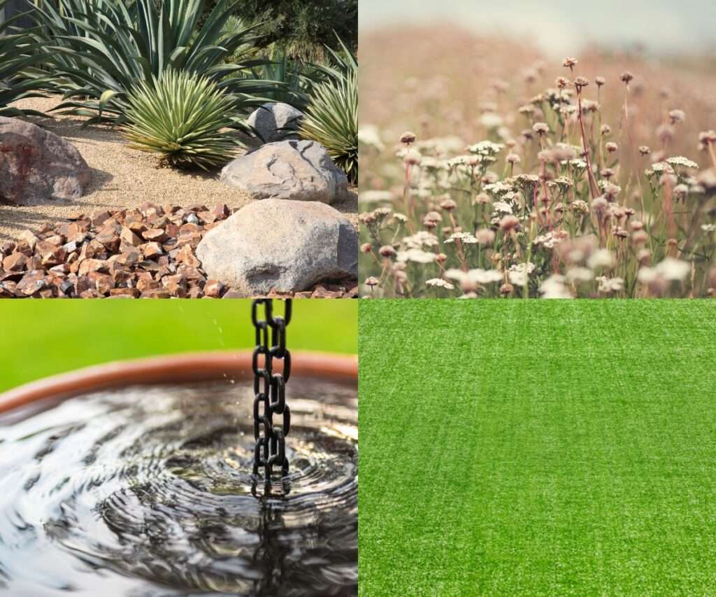 Xeriscaping Ideas