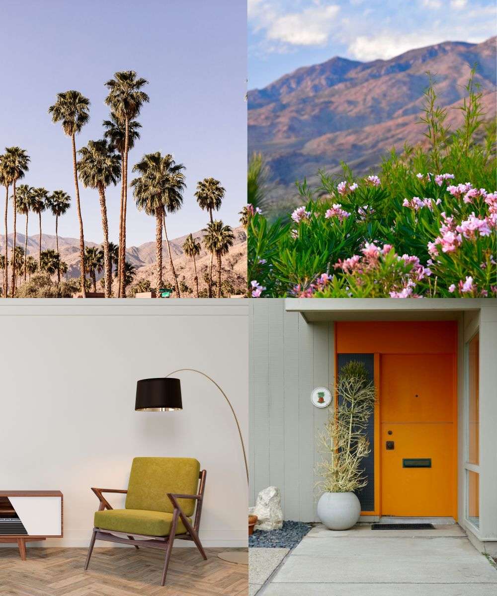 Palm Springs Landscape Design Elements