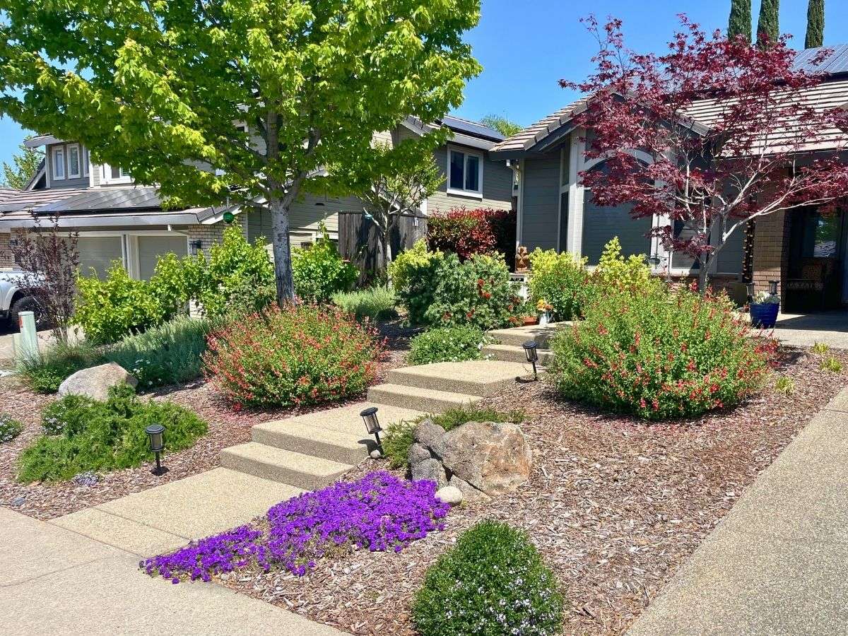 Construction Portfolio - Front Yard