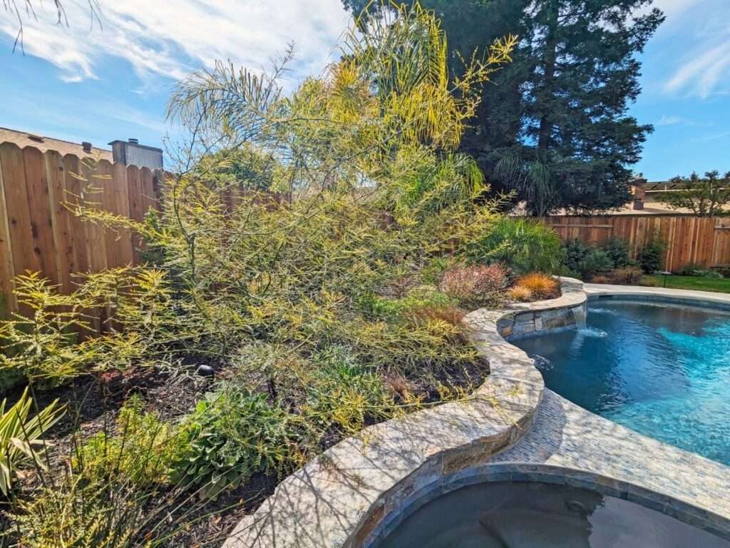 Construction Portfolio - Poolscaping