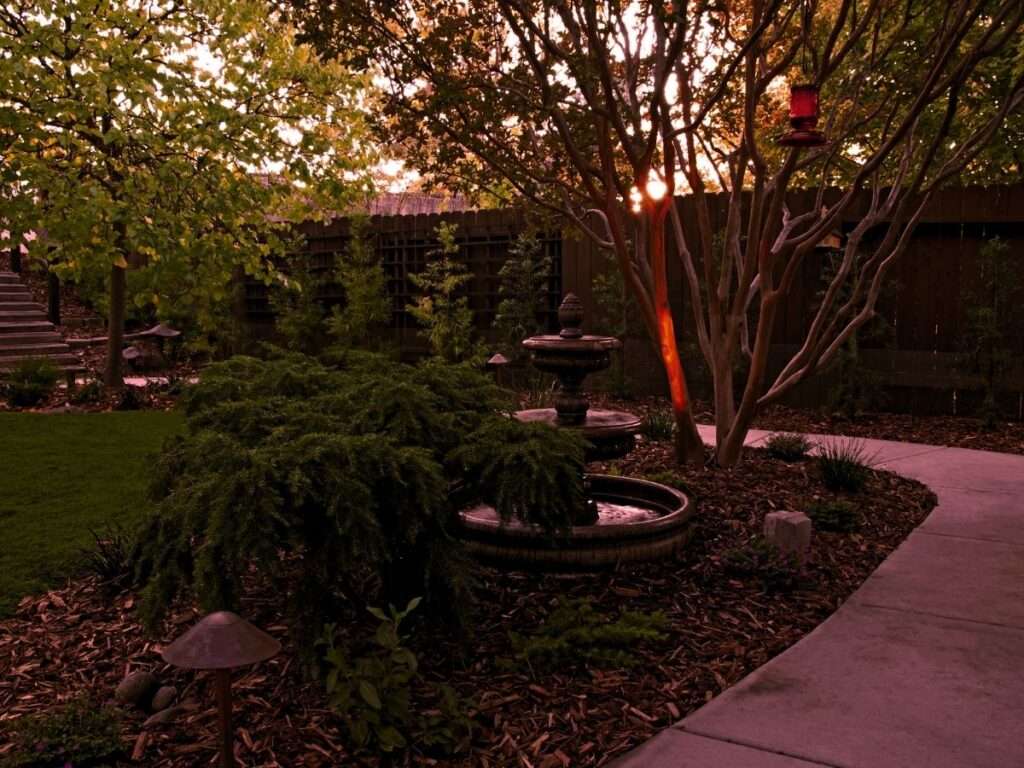 Landscaping Services - Landscape Lighting (2)