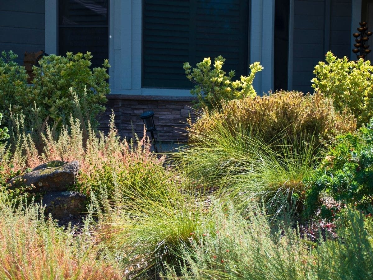 Construction Portfolio - Landscape (1)