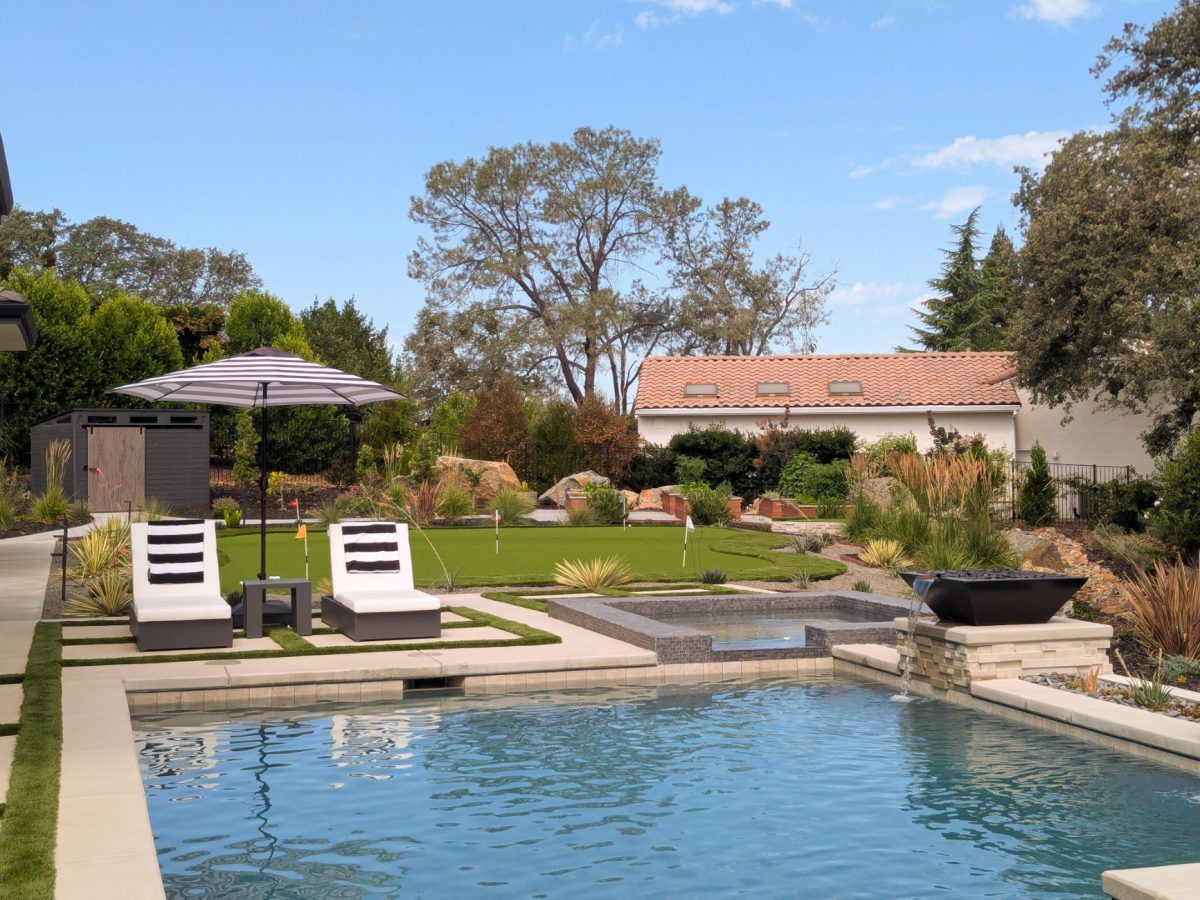 Landscape and Swimming Pool Design (1)